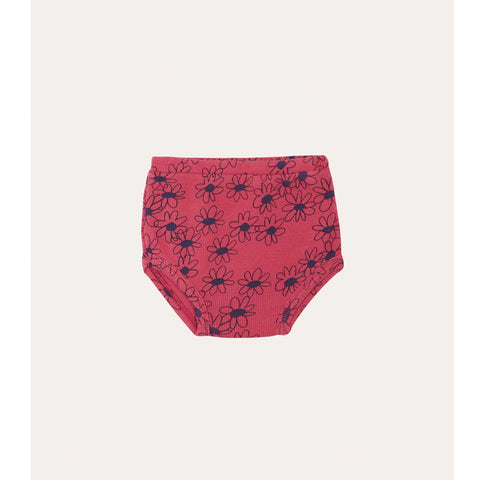 BLOOMER PINK DAISIES The Campamento