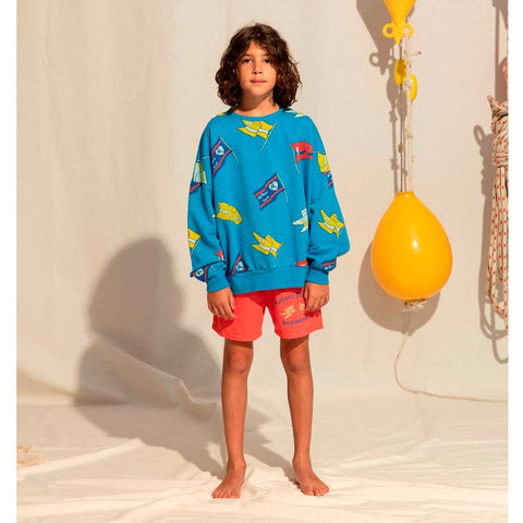 Fresh Dinosaurs SUDADERA FLAGS