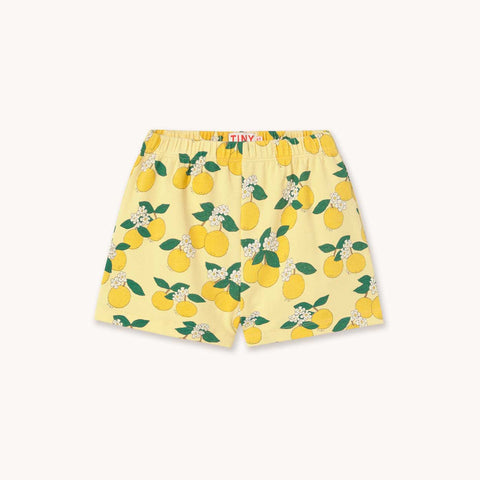 Tinycottons PANTALON CORTO ORANGES