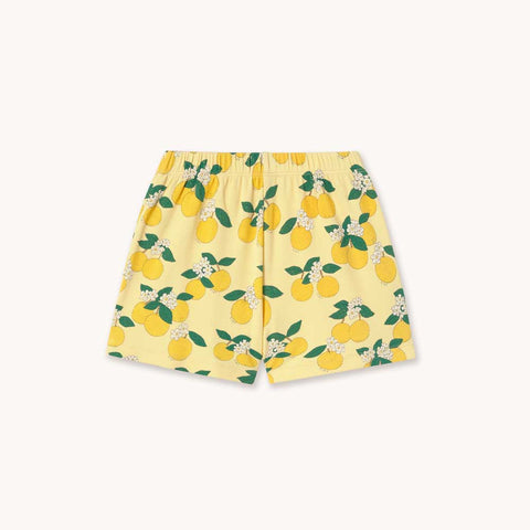 Tinycottons PANTALON CORTO ORANGES